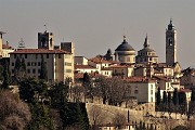 27 Da punto panoramico in via Sudorno vista verso mura venete, torri, campanili, cupole, di Citta Alta 